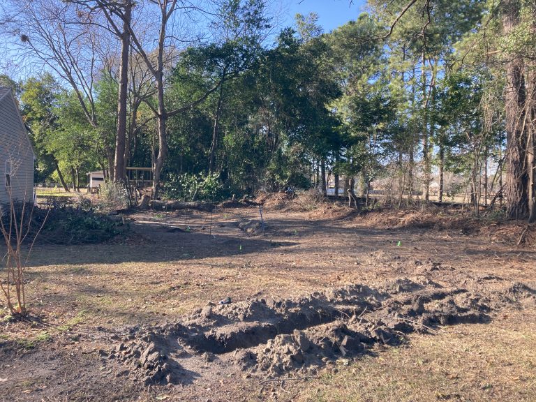 Orchard begun. clearing for the orchard