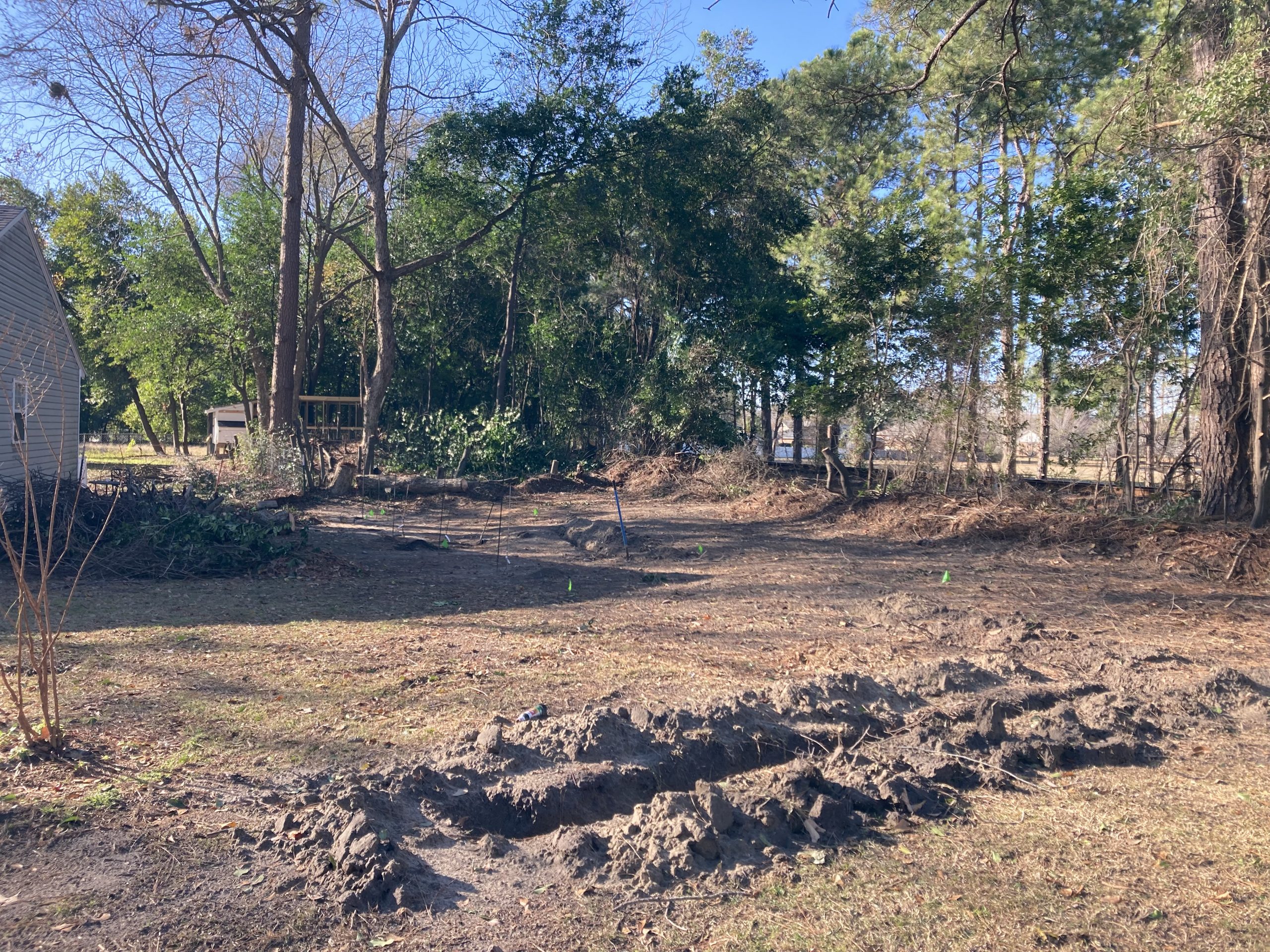 Orchard begun. clearing for the orchard