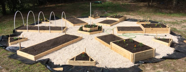 Planting Raised Bed Gardens